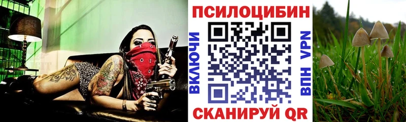 Псилоцибиновые грибы MAGIC MUSHROOMS  Безенчук 